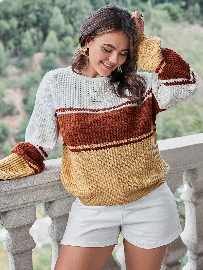 Plus Size Color Block Long Sleeve Sweater